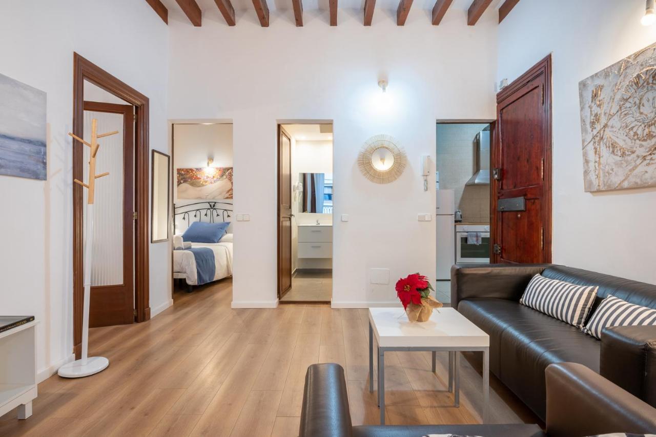 Appartement - Ti *