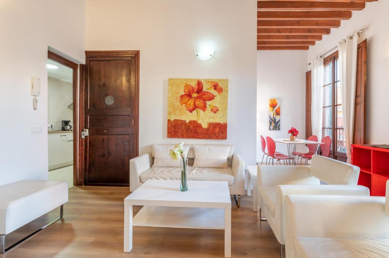 Appartement - Ti *